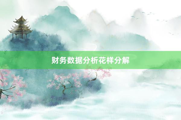 财务数据分析花样分解